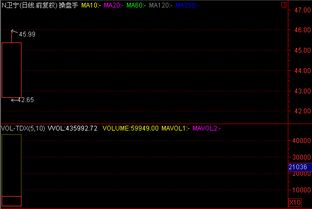衛(wèi)寧軟件上市首日大漲55.20%，彰顯軟件開發(fā)與技術(shù)服務(wù)業(yè)高景氣