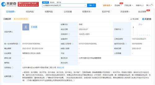 軟件開發(fā)與技術(shù)服務(wù)的雙輪驅(qū)動 數(shù)字化轉(zhuǎn)型時代的核心引擎