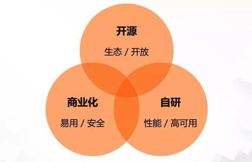 阿里巴巴服務網(wǎng)格技術(shù)三位一體戰(zhàn)略背后的思考與實踐